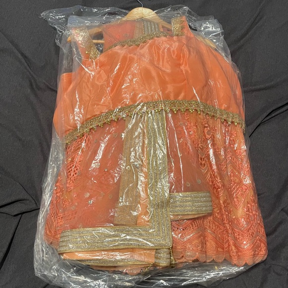 Wedding Lenga - Gold & Peach, XXL, worn once & cleaned. Comes with sleeves $400 - Picture 8 of 8